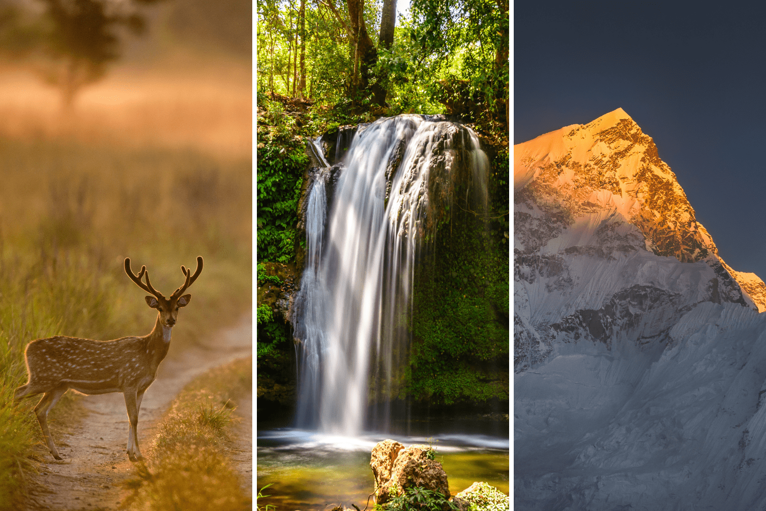 Tour Operator in Rishikesh: Incredible Outdoors